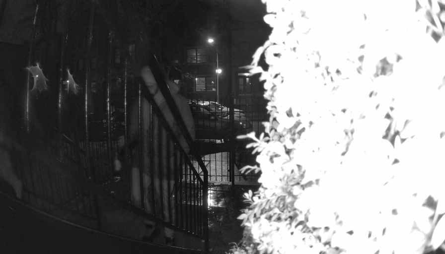 Reolink Camera Two_01_Reolink Home Hub One_20250304193421.jpg